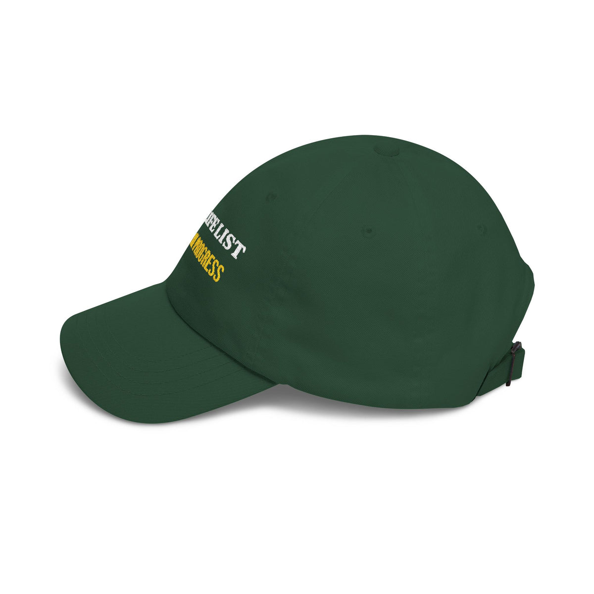 Life List In Progress Embroidered Dad Cap by SG Design – view 19